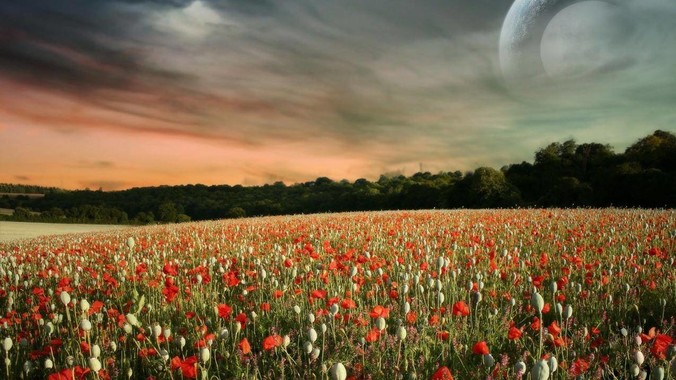 用PHP写了个小框架，怎么才能得到大佬们的指点？